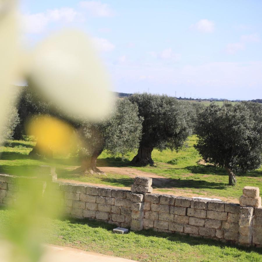 Masseria Cuturi Vila Manduria Exterior foto